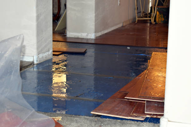 Professional Basement Water Removal technician working in Hobson, TX